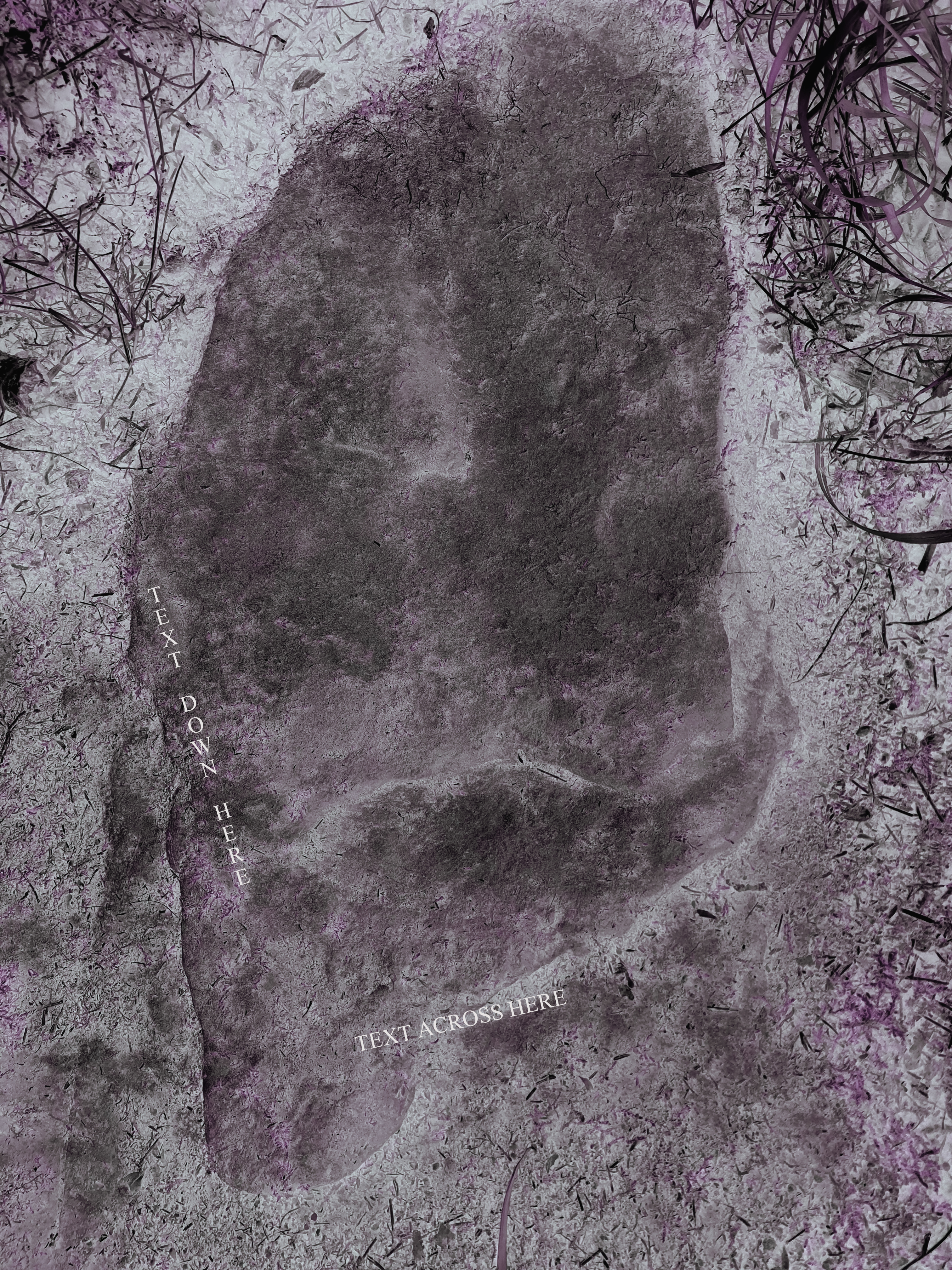 Infra-red image using photoshop to process the image to get a more readable image