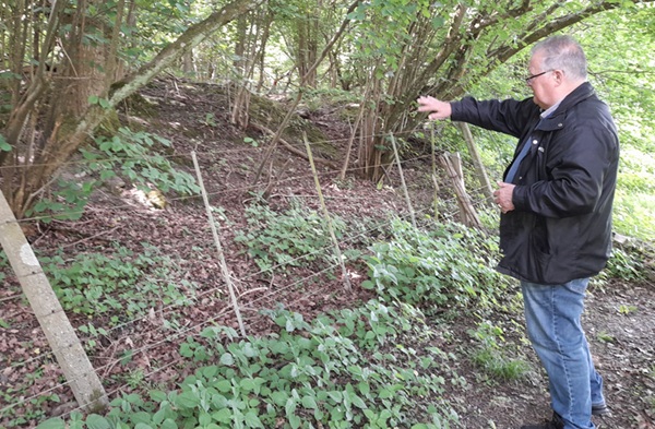 Austin points out mounds close to the railway line at the southern end of the battlefield