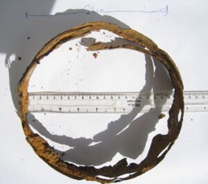 rims from a Saxon helmet