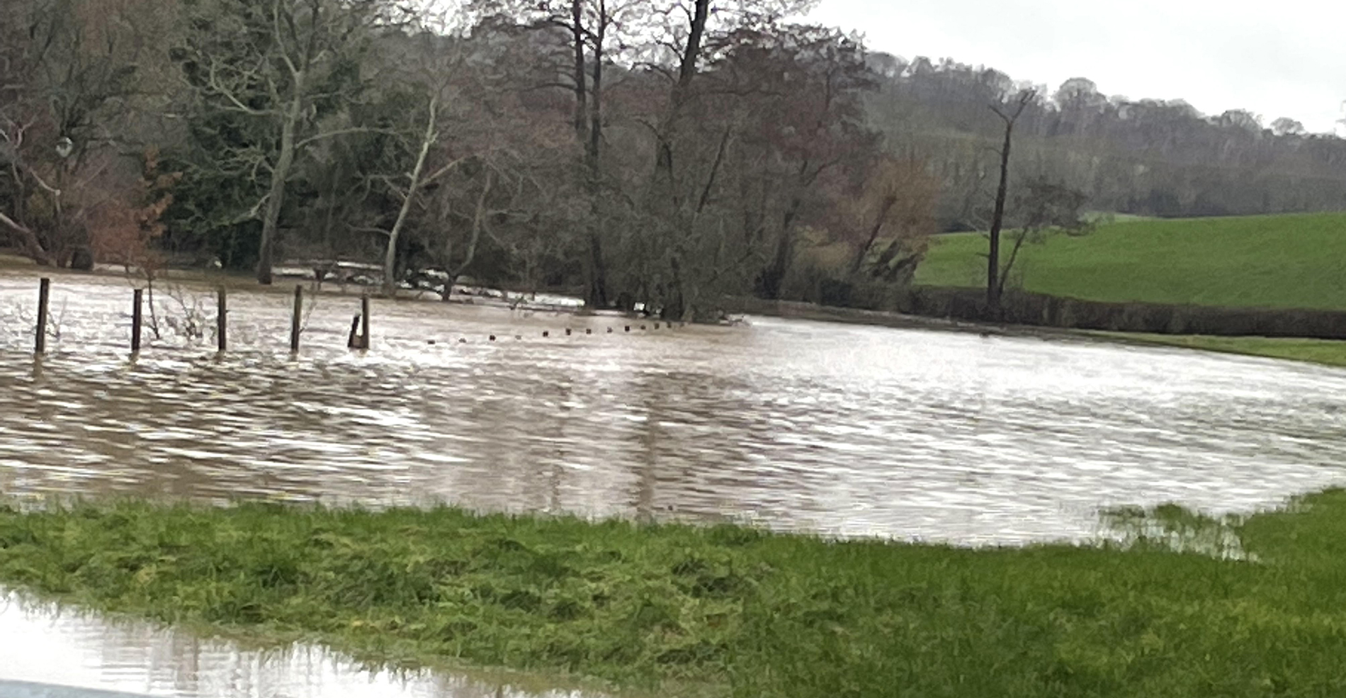 This is the Senlac pond at the bottom of the battlefield and the only one within twenty miles.. This is the Senlac pond at the bottom of the battlefield.